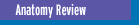 Link: Anatomy Review